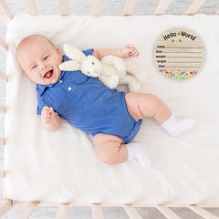 PAMBO Baby Bear 6-inch sign back view shows the double-sided option for versatile displays.