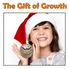 PAMBO tooth box carved info area with slots and personalization options.