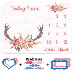 PHMOJEN monthly frame set shows numbers for weeks and months during sessions.