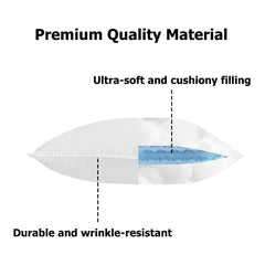 Primlect durable construction ensures long-lasting use in busy classrooms.