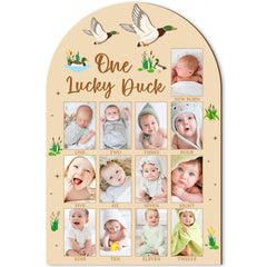 R HORSE 3D Mallard Duck photo board front view for nursery memories.