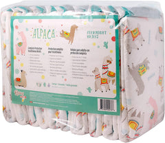 Rearz Alpaca adult nighttime diapers 12-pack box image for overnight protection