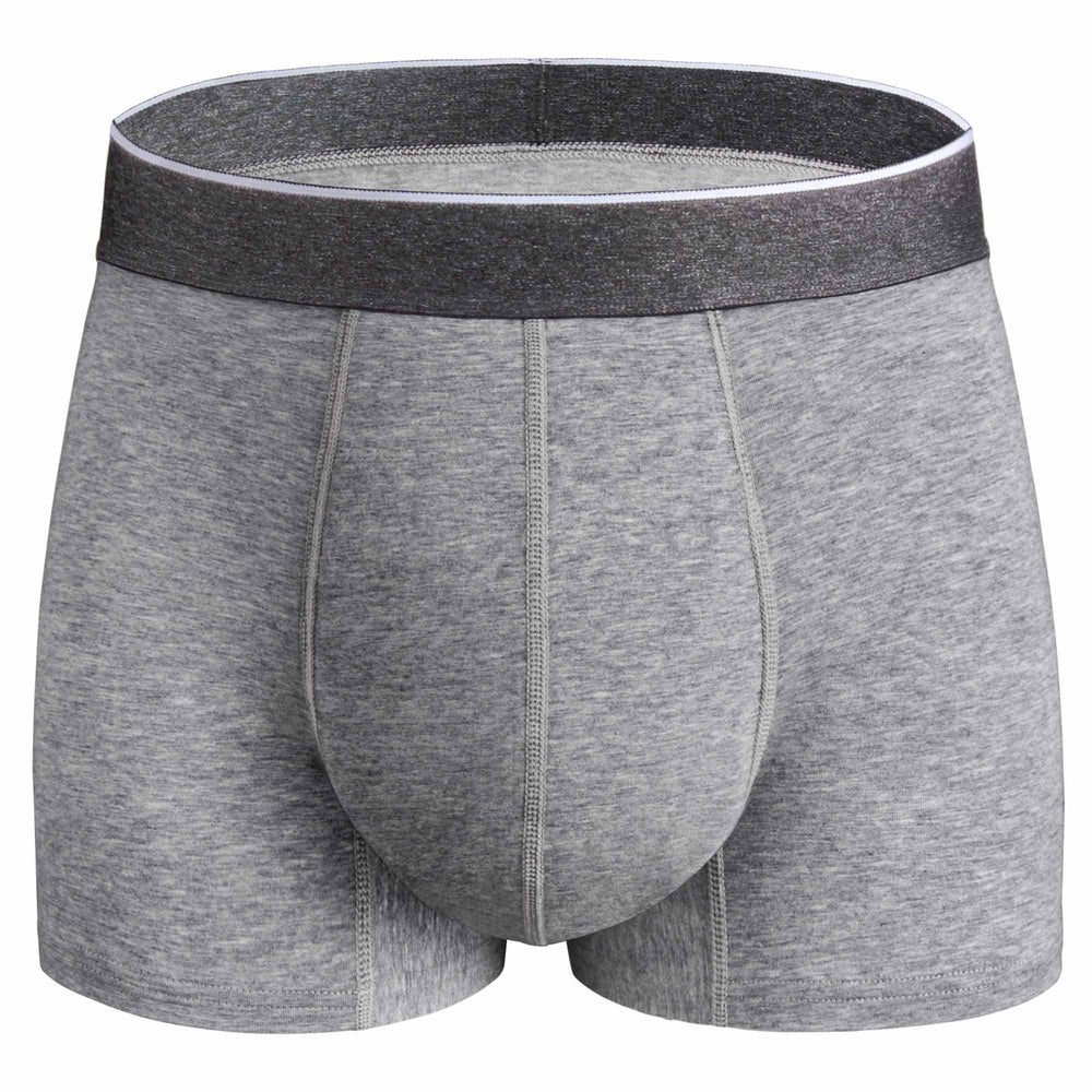 REELINDRY mens incontinence underwear absorbency 2-3oz for dry comfort on the go