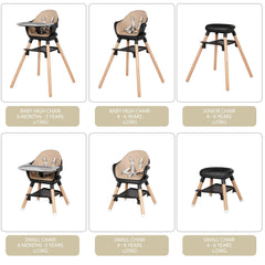 RICUTON 6-in-1 height adjustments showcase easy transitions.