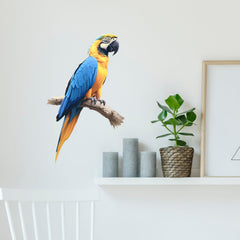 RoyoLam classroom decor macaw mural enhances learning spaces without sticky residue.