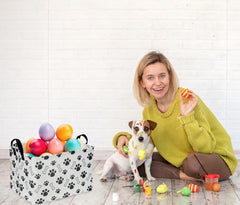 Sanjiaofen dog basket side view highlighting durable handle and convenient lifting.