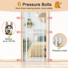 Senneny self-close and stay-open feature enhances safety and convenience