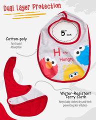 Sesame Street booties with Elmo and Big Bird for cozy baby feet.