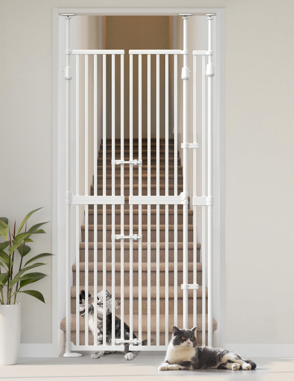 Sprouterie extra tall cat gate in doorway with closed position for containment