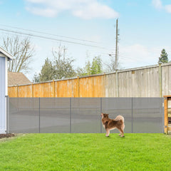 Stcockis reinforced gate assembly for indoor and outdoor use, showcasing sturdy closure