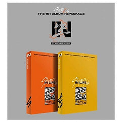 Stray Kids Inlife album CD cover for official packaging display