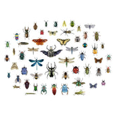 SUPERDANT Vintage Insects butterflies decal, ideal for classroom walls and kids’ room decor.