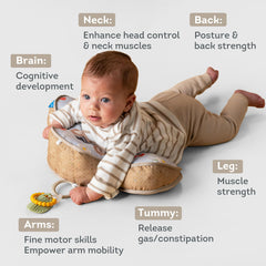 Taf Toys tummy time cushion with panda design encourages head lifting and exploration