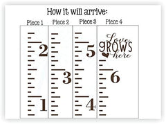 Wall Decor Plus More growth chart in chocolate brown ready for future height milestones.