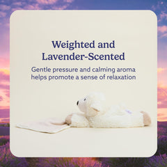 Warmies Lavender-scented plush creates a calming atmosphere for bedtime routines.