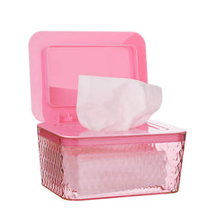 Whiidoom Wipes Dispenser with transparent design shows wipe count for easy refills