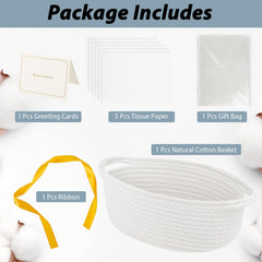 woric basket showing dimensions 12x8x5 inches in white
