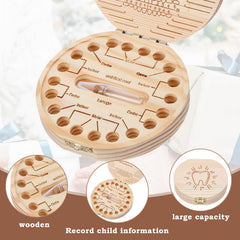 WY LIGHTING LEVEL bottle compartment keeps preserved teeth neatly organized.