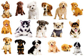 YINECO 17Dogs 3D dog wall sticker for living room; playful decor.