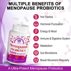 Zwllood Menopause Probiotics featuring 7 probiotic strains for gut and mood support
