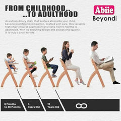Abiie Beyond Junior harness system with 5-point and 3-point options.