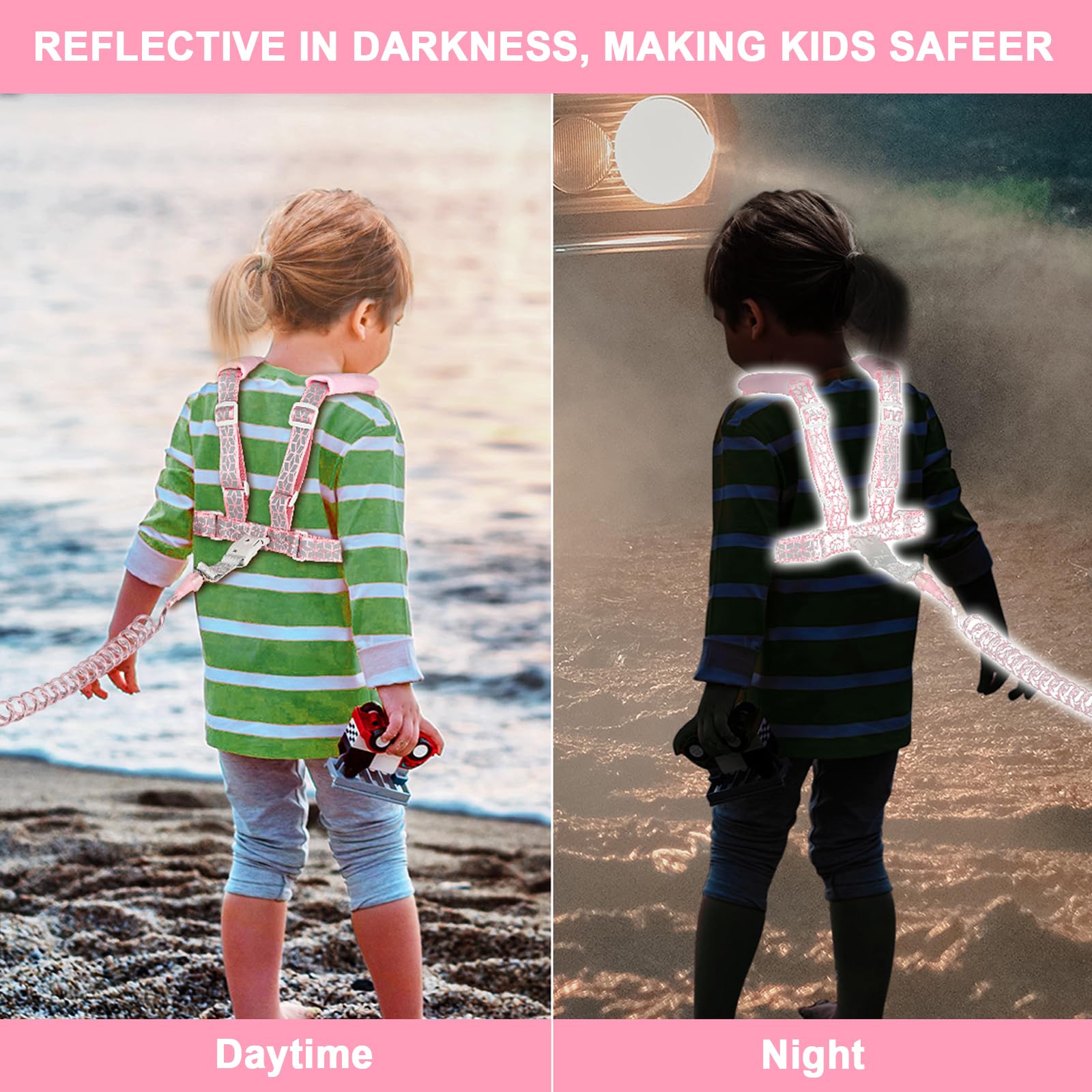 Accmor harness enhances safety with night visibility and secure connection