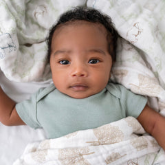 aden + anais Essentials Dream Blanket makes a thoughtful baby gift for showers.