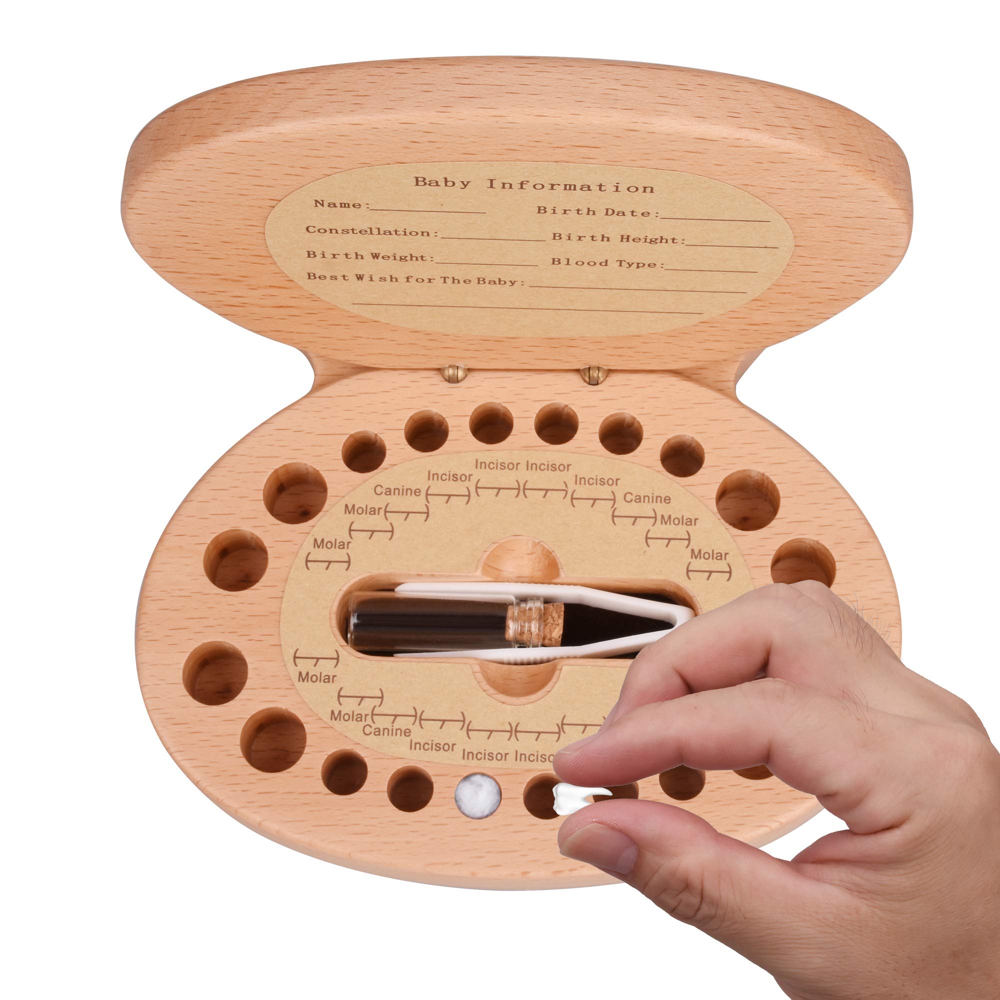 AhfuLife easy-clean tooth box simplifies post-use care and storage.
