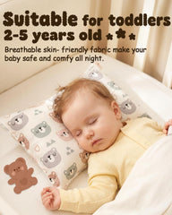 ALVABABY envelope-closure design keeps pillow clean and accessible.