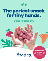 Visual of simple ingredients in Amara Smoothie Melts with fruits and veggies