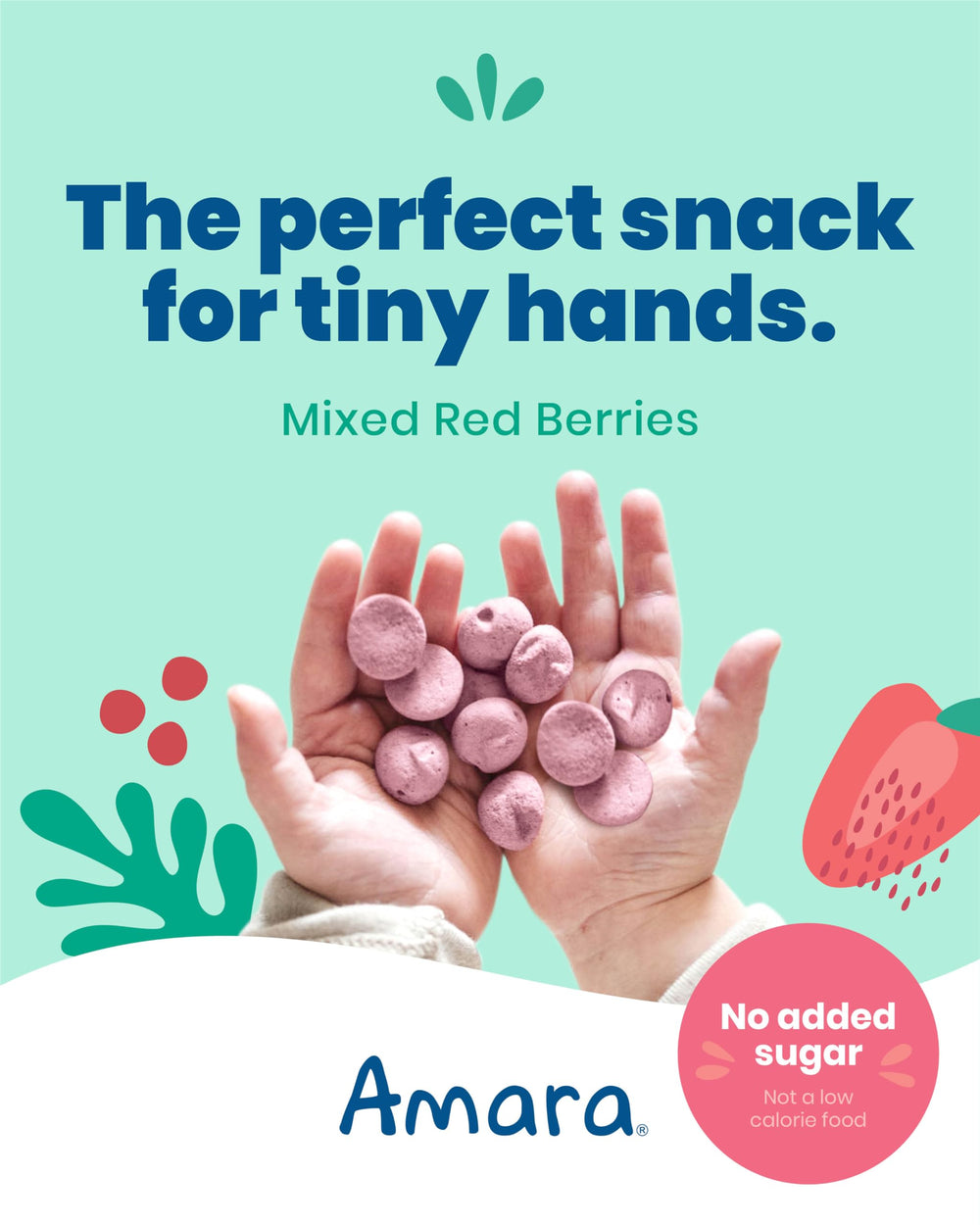 Amara Smoothie Melts serving plate with bite-sized toddler snack ready.