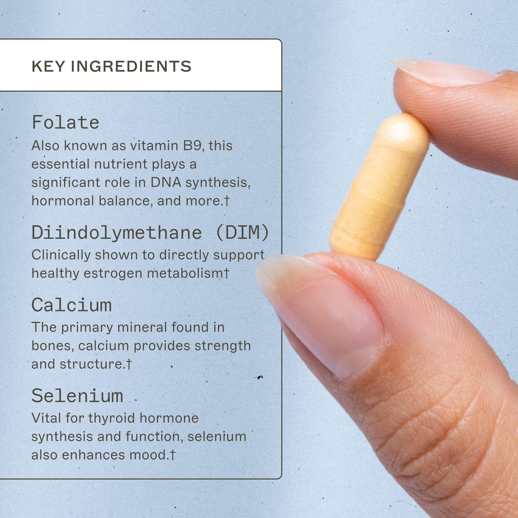 EstroProtect DIM ingredient closeup indicating hormone metabolism support