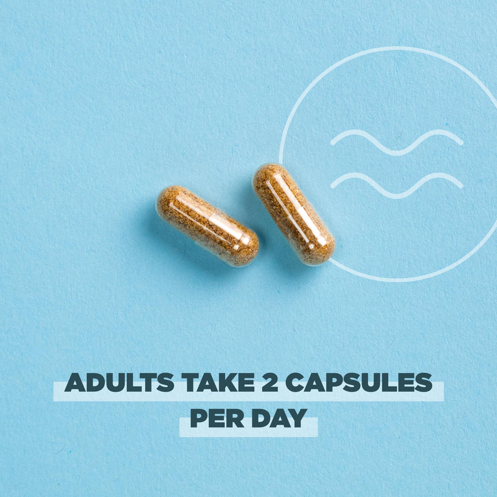Ancient Nutrition fermented-black-cohosh-root included for women’s health support.