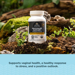 Ancient Nutrition roc-reishi-chaga-mushrooms in a supplement formula.
