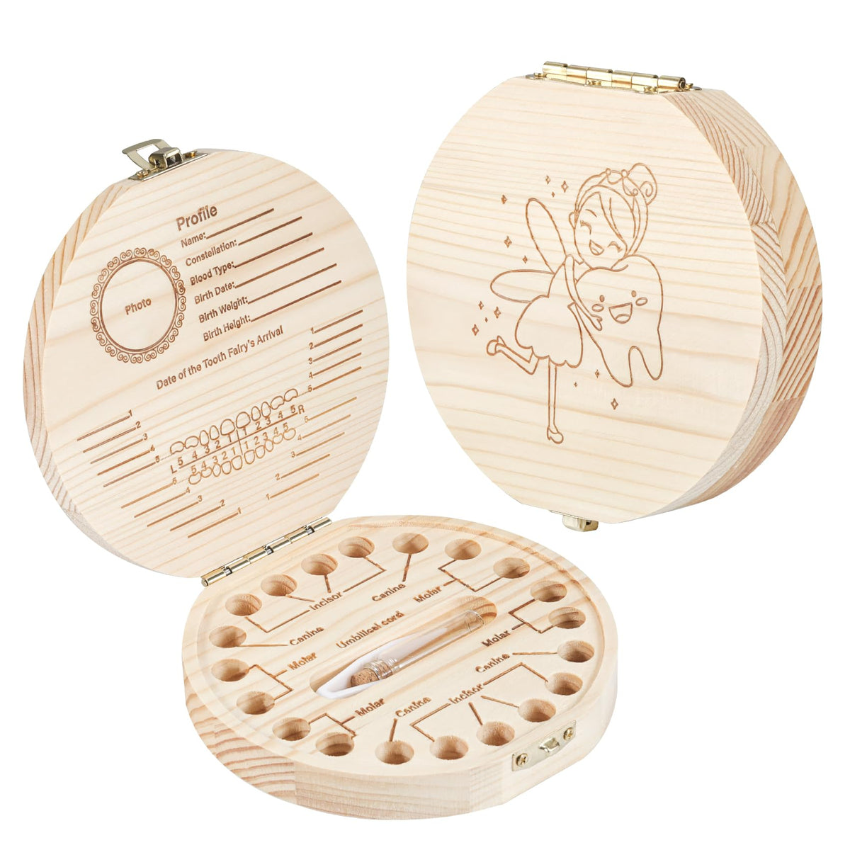 Annhua Tooth Fairy Holder front view highlights sturdy pine wood and snap closure.