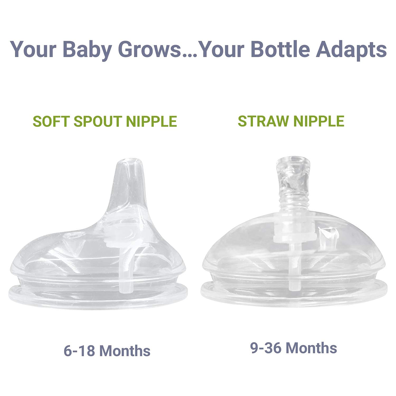 ANPEI included set of two nipples and storage case for on-the-go use.