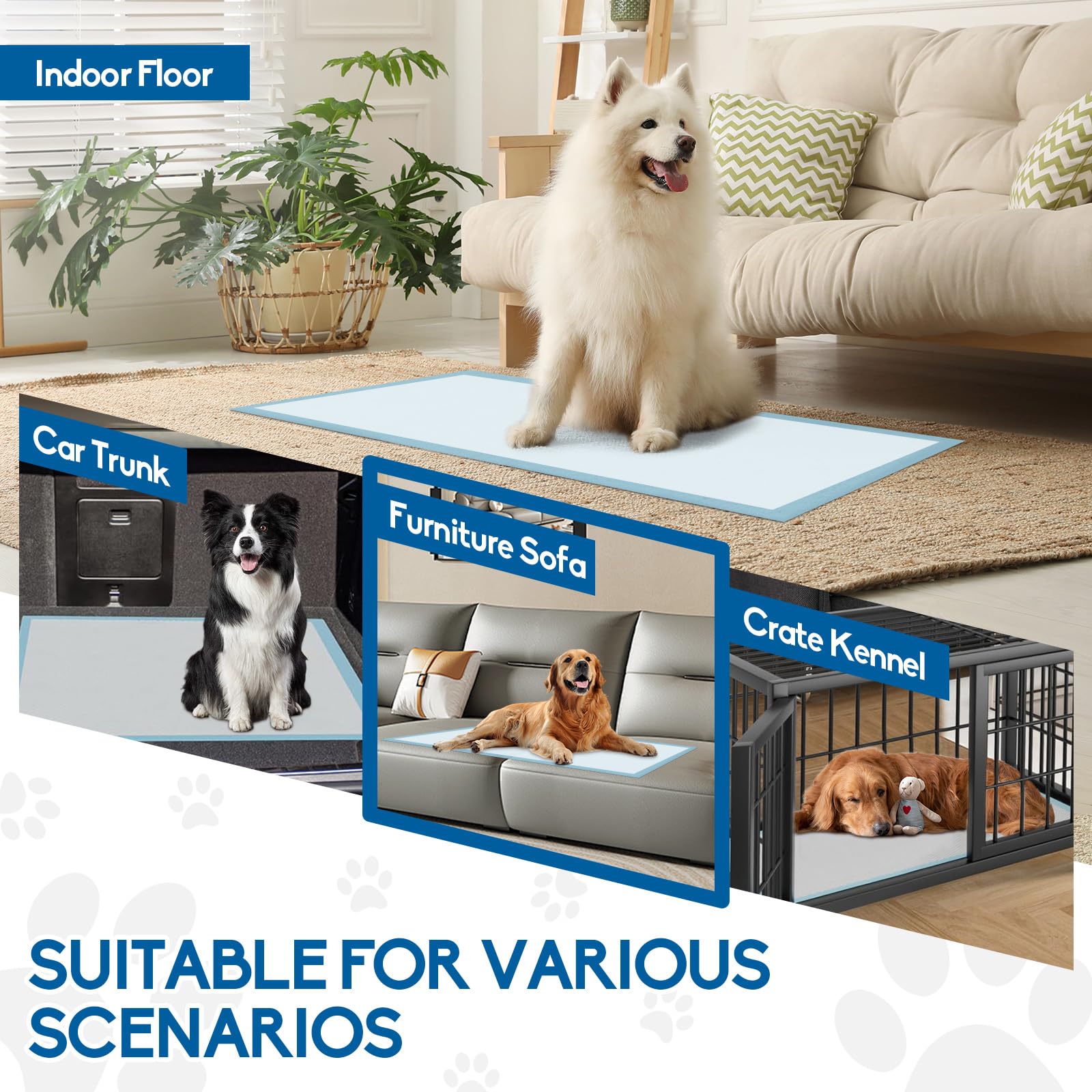 ASIVZLOW multi-use puppy pad for house-training and travel.