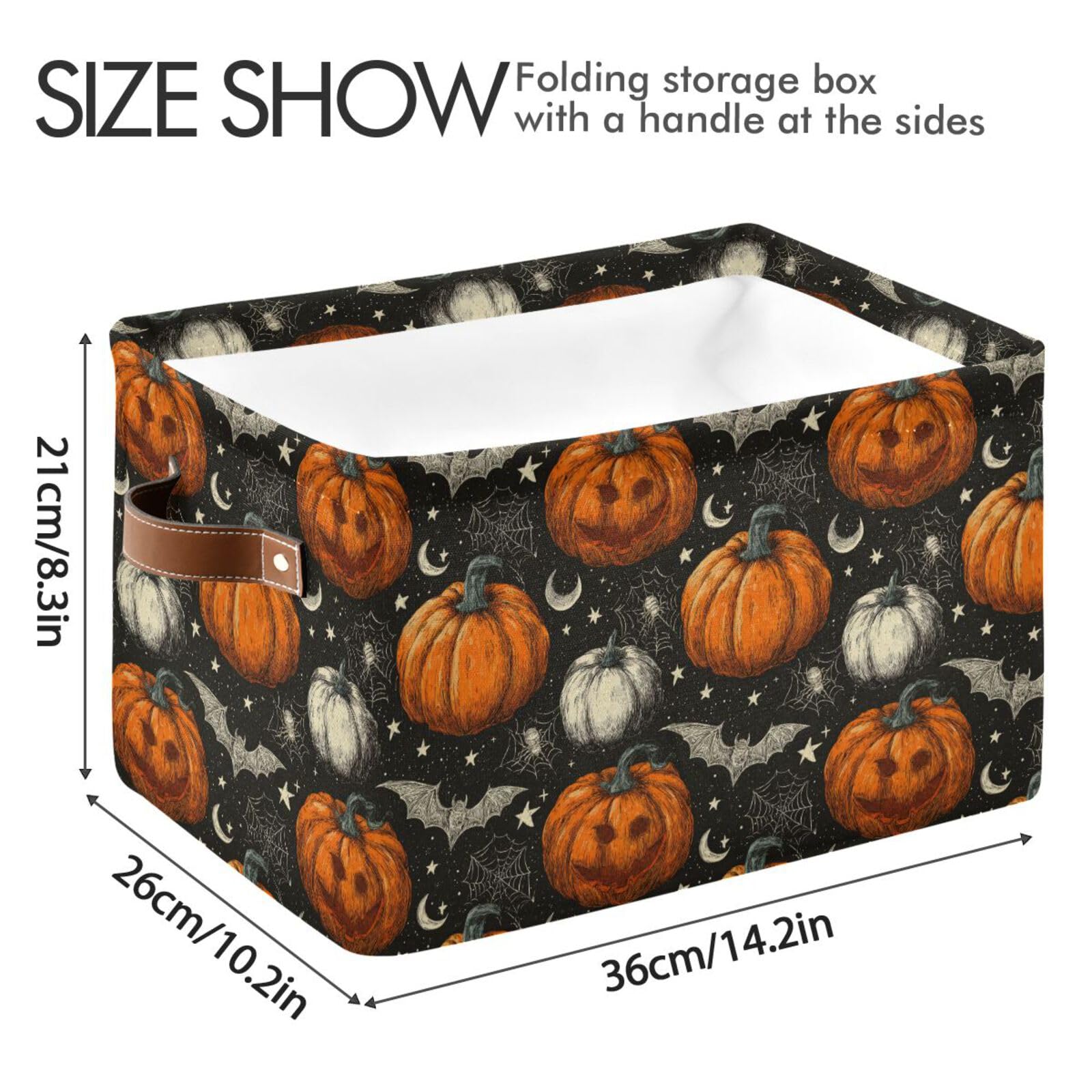 Aslsiy car trunk storage bin ready for travel and organizing items.