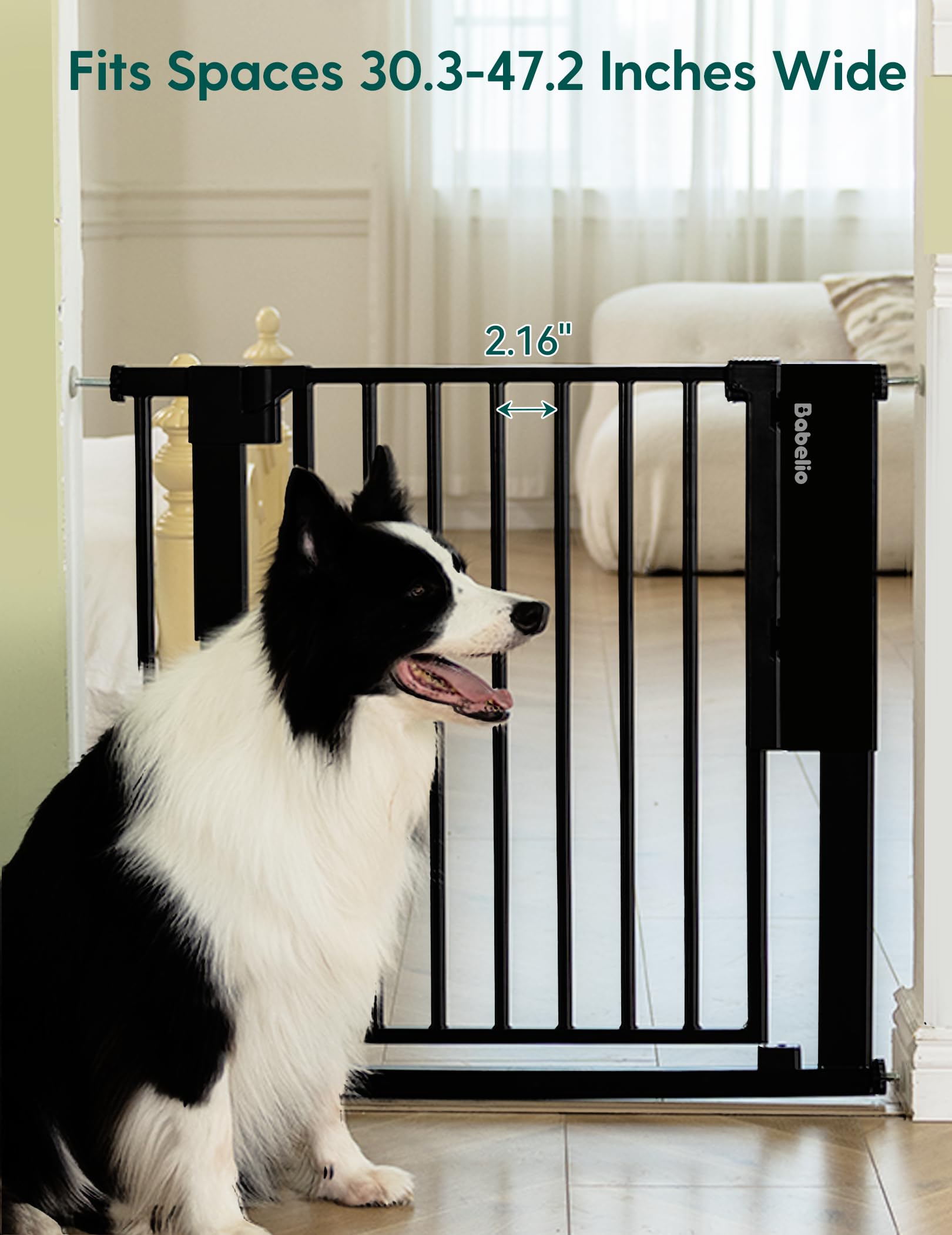 BABELIO auto-close feature enables gentle, hands-free door closure.
