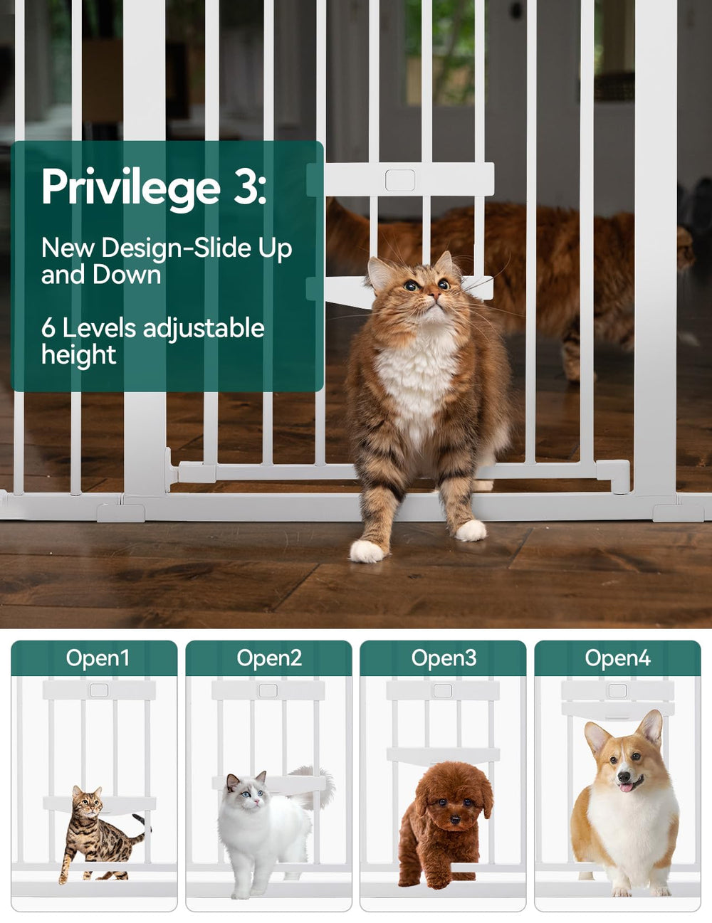 BABELIO small pet door detail showing cat door for easy pet passage.