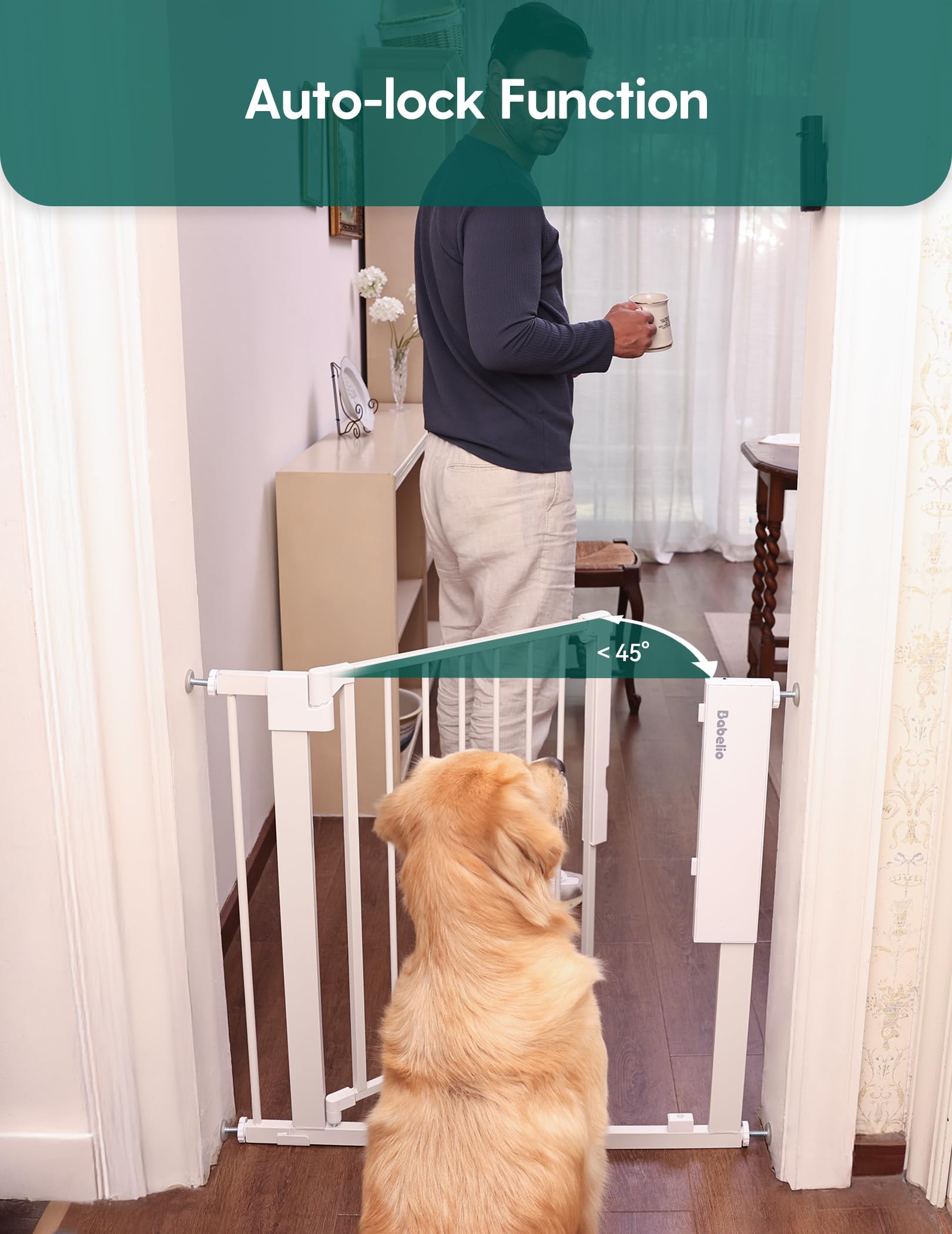 BABELIO Gate alarm closeup emphasizes audible alert when not fully closed