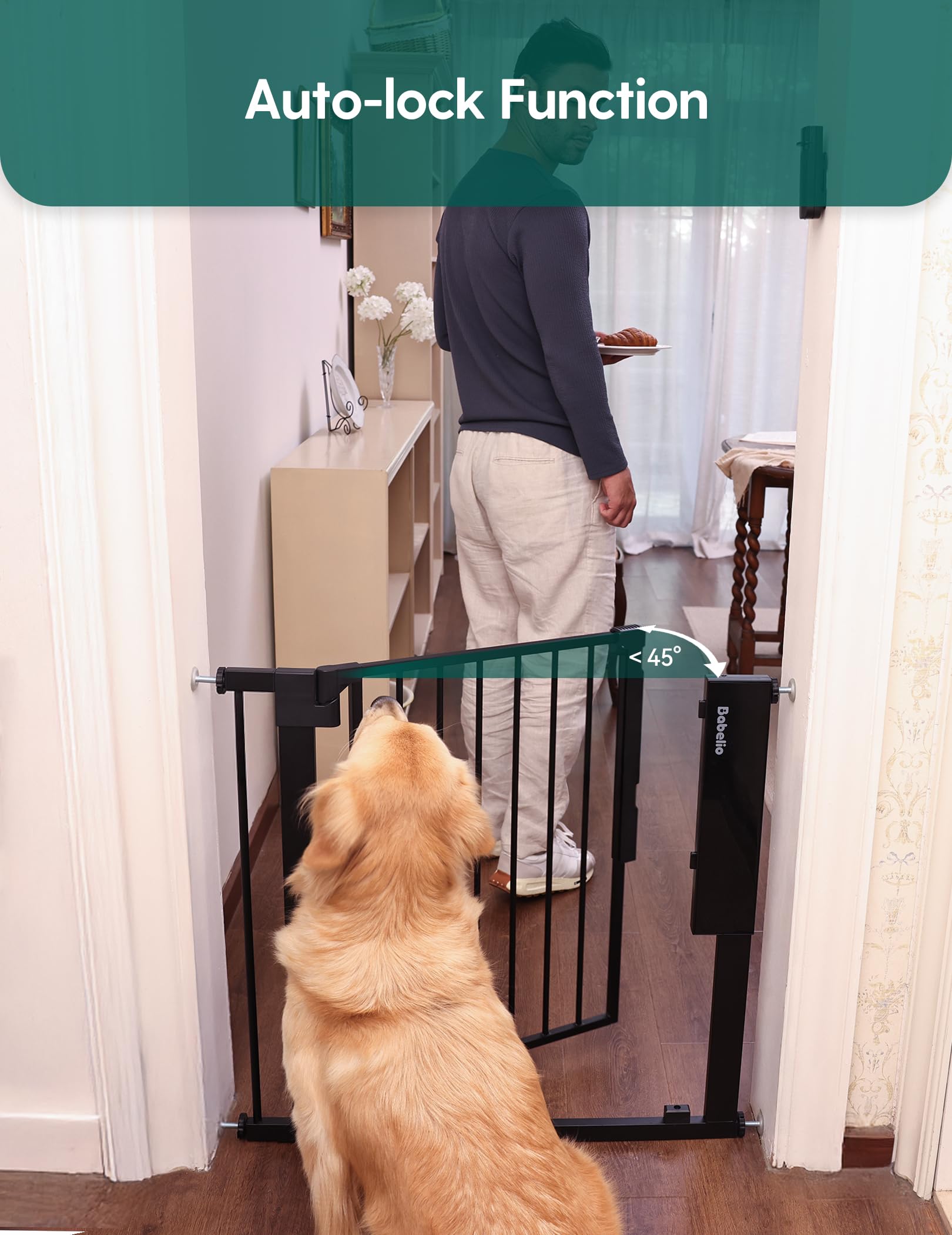 BABELIO auto-close feature in action at walk-through doorway.