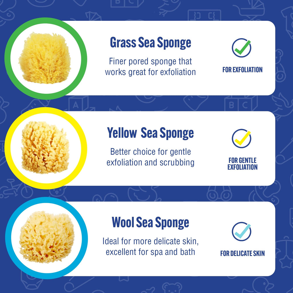 Baby Buddy Florida-harvest sea sponge promotes quick-drain design.