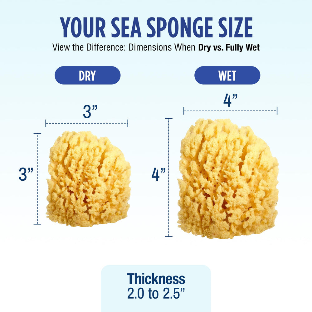 Baby Buddy yellow sponge is easy to rinse and replace every 8 weeks.