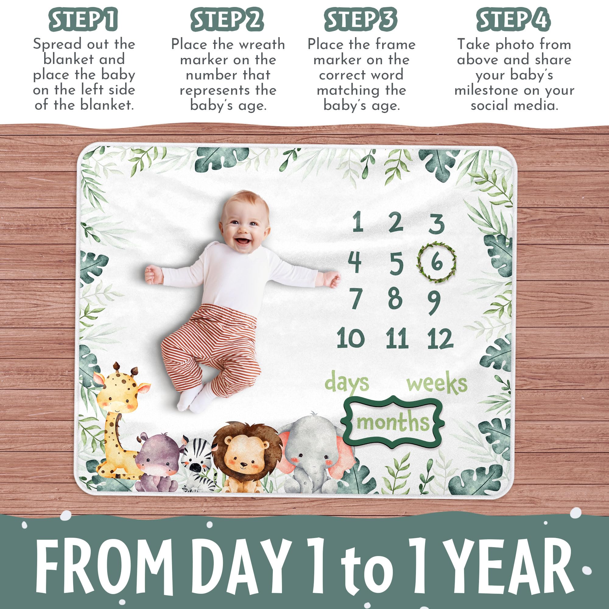 Baby Milestone Blanket zebra focus offers bold contrast for cute growth photos.