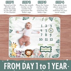 Baby Milestone Blanket zebra focus offers bold contrast for cute growth photos.