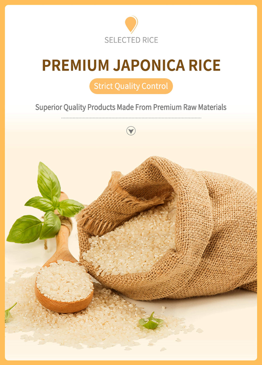 Brand heritage of trust and easy-to-hold texture with Baby Mum-Mum.