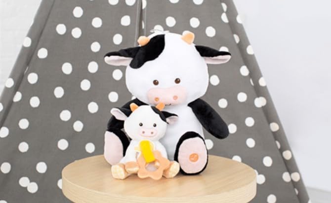 Baby Starters Magic Years detachable teether provides textured teething relief.