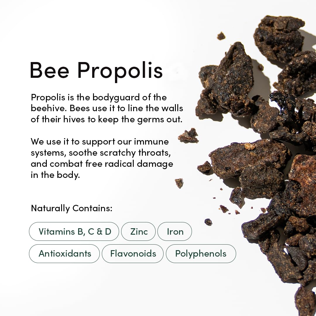 Beekeeper's Naturals Kids Throat Lollipops mixed berry flavor—tasty option with elderberry and zinc.