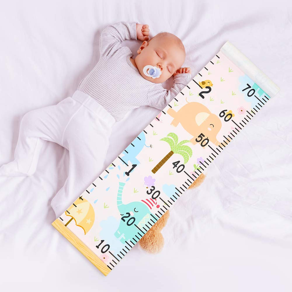Beinou growth chart rolled for easy storage.